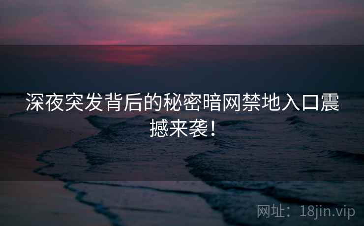 深夜突发背后的秘密暗网禁地入口震撼来袭！  第2张