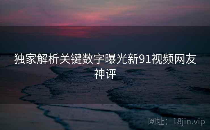 独家解析关键数字曝光新91视频网友神评  第2张