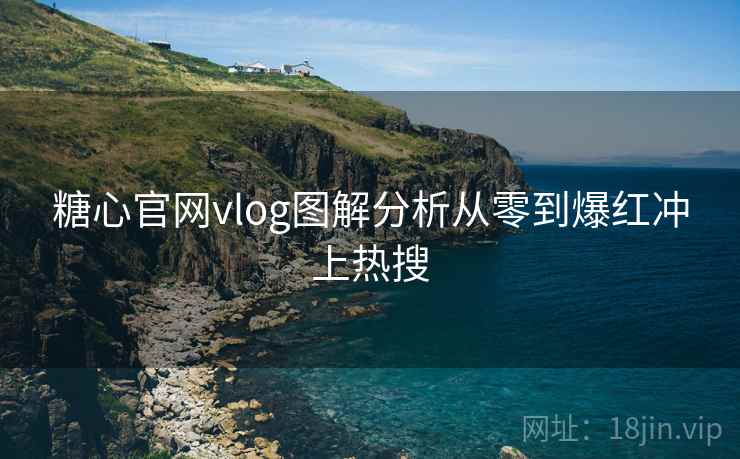 糖心官网vlog图解分析从零到爆红冲上热搜  第1张