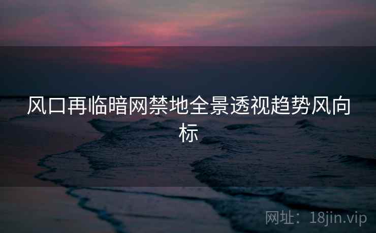 风口再临暗网禁地全景透视趋势风向标  第2张